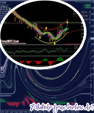 Do forex brokers take any risk