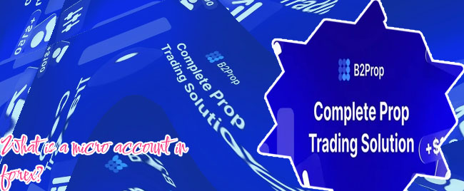 Forex brokers that offer micro accounts