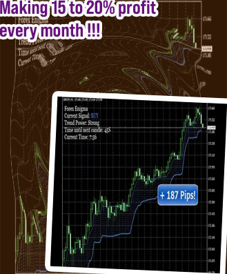 Forex trading profit per day