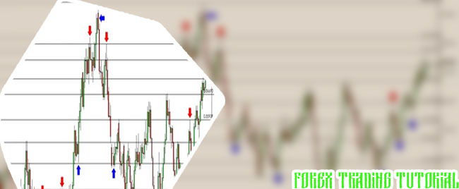 Forex tutorial what is forex trading