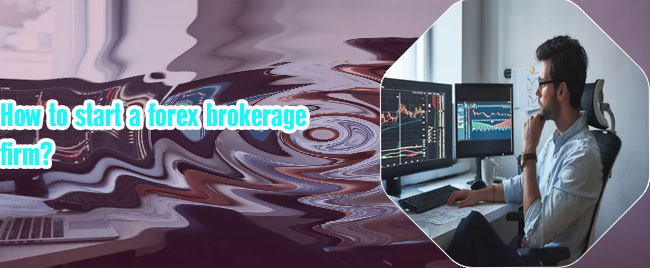 How forex broker make money