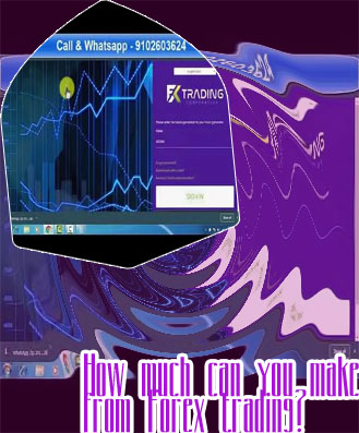 How much can earn from forex trading