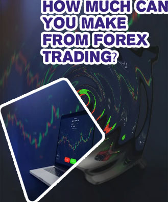 How much money can be made in forex trading