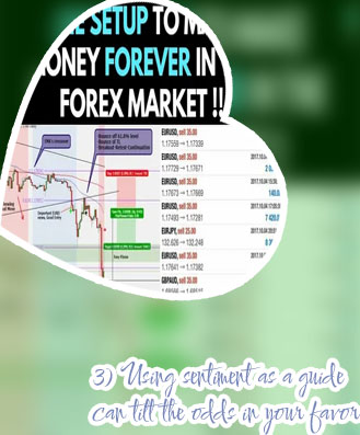 How much money can you make trading forex