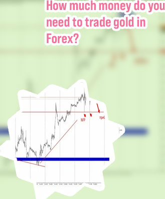 Miglior broker forex 2024