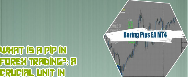 Pips in forex
