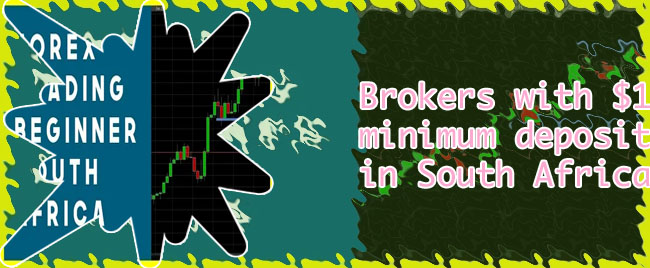 South african forex brokers with low minimum deposit