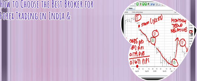 Top forex brokers in india