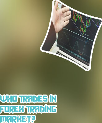 Types of brokers in forex trading
