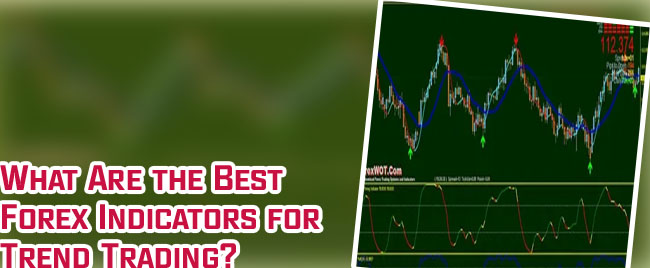 Which is the best indicator for forex trading