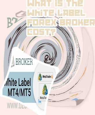 White label forex brokerage