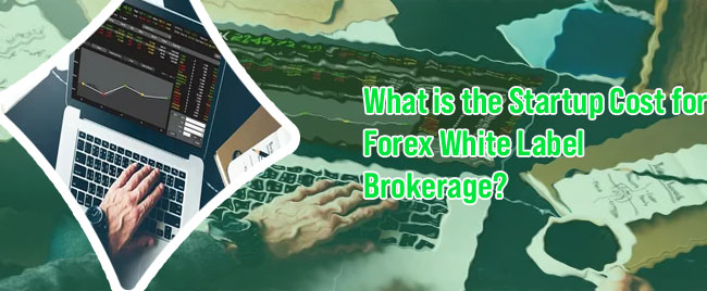 Whitelabel forex broker